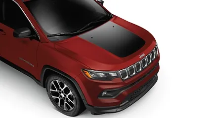 Chrysler Pacifica Hoods