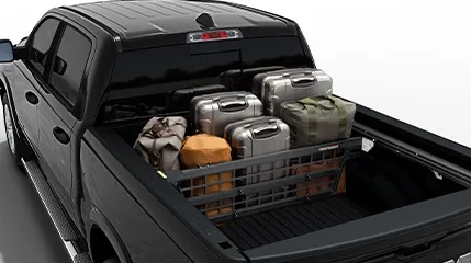 RAM 1500 Cargo Liners & Trays