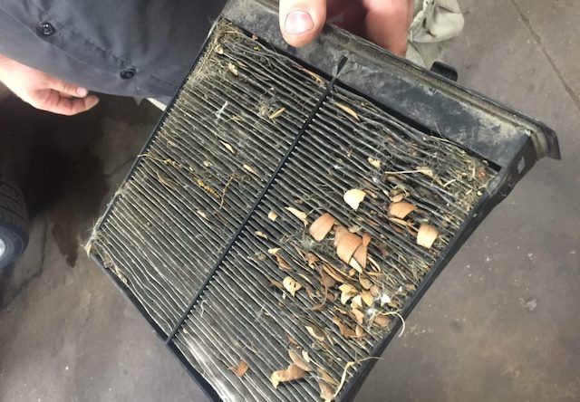 How To Diagnose A Failing Cabin Air Filter