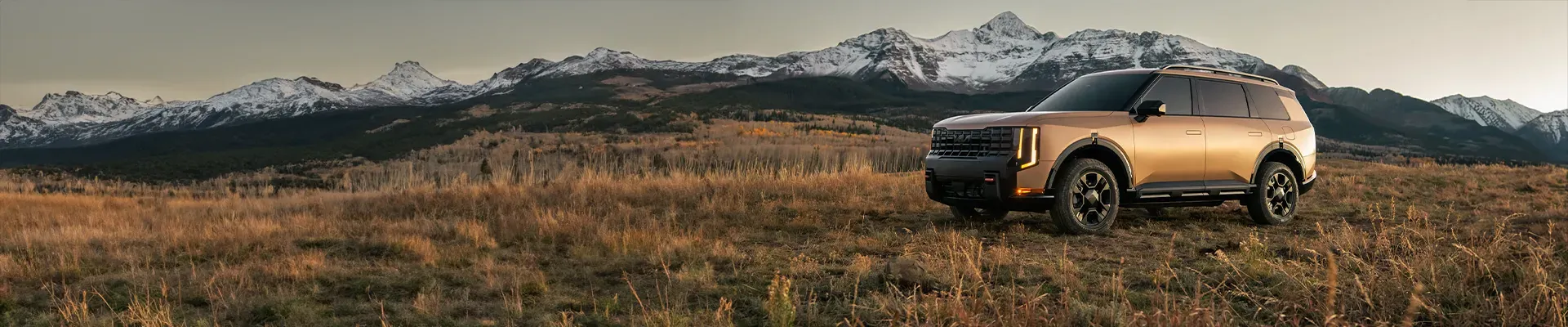 Kia Banner Slide