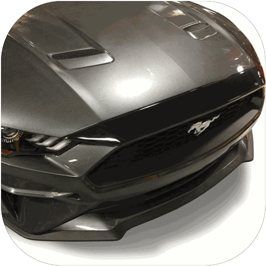 Hood Protectors