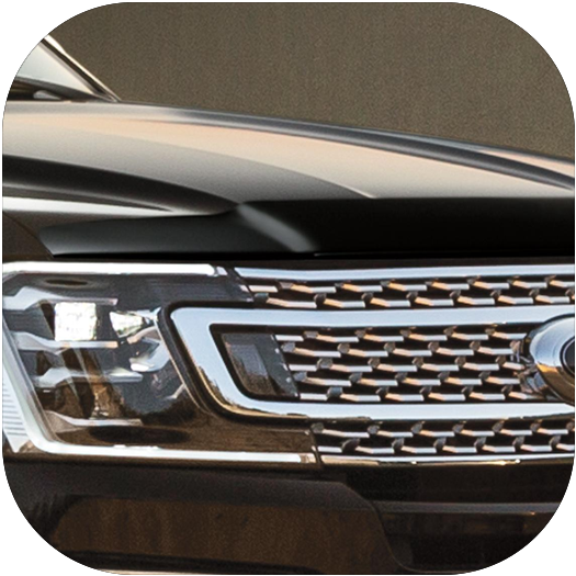 Hood Protectors