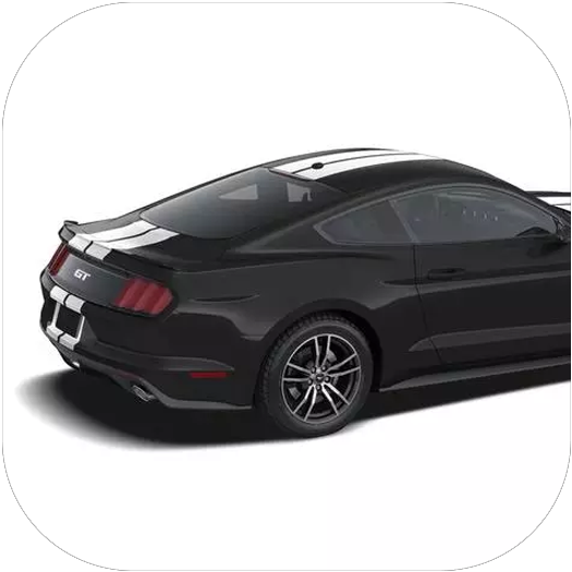 Graphics and Stripes